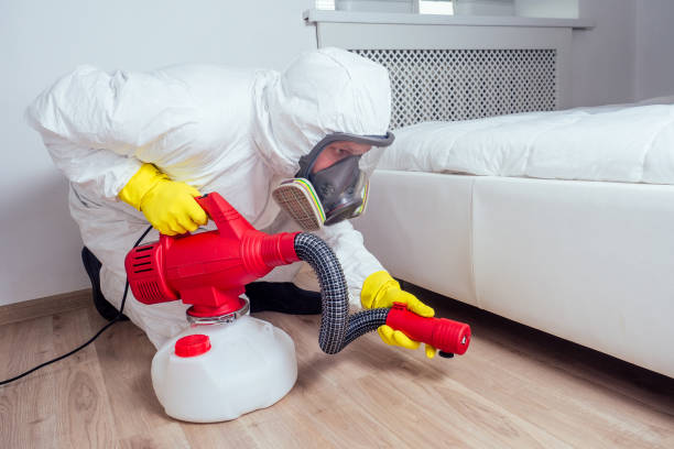 Best Fumigation Services  in Roosevelt Park, MI